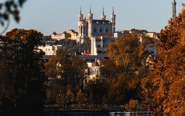 City behind the trees