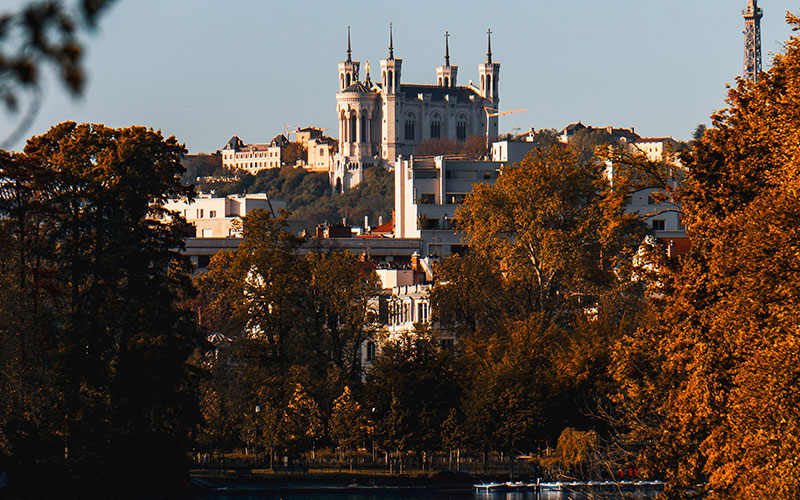 City behind the trees