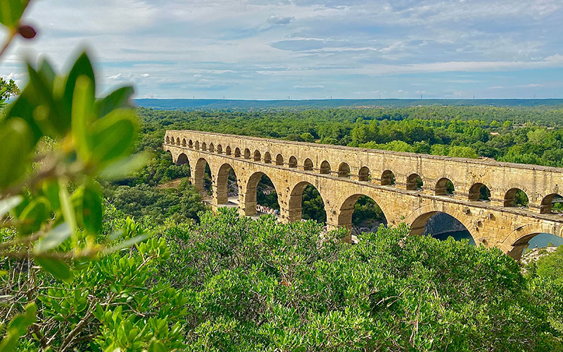 Large bridge surrounded by greenery