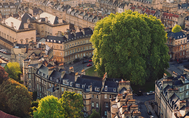 Large tree surrounded by old-looking buildings in Bath